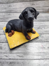 Load image into Gallery viewer, Dash hound wax melts
