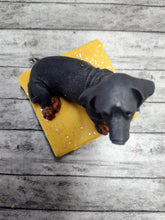Load image into Gallery viewer, Dash hound wax melts
