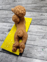 Load image into Gallery viewer, Poodle wax melt
