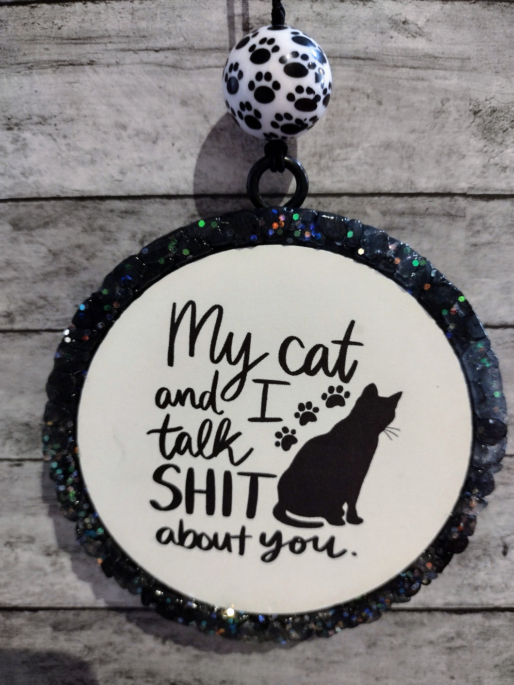 My Cat and I Talk Sh*t About You