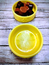 Load image into Gallery viewer, Dog Bowl Wax Melts

