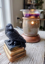Load image into Gallery viewer, Crow &amp; Break Me Bar Wax Melts
