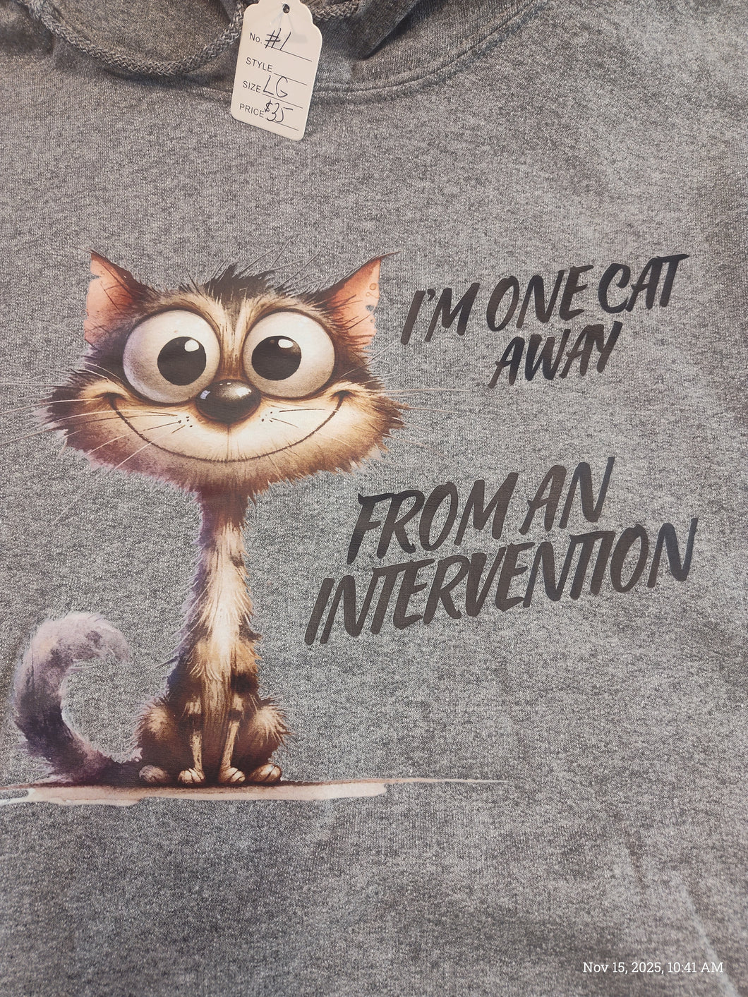 **SALE $24.50** ALREADY Made Hoodie I'm one Cat Away from an Intervention