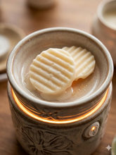 Load image into Gallery viewer, Potato Chip Wax Melts
