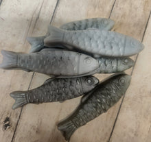 Load image into Gallery viewer, Fishy wax Melts

