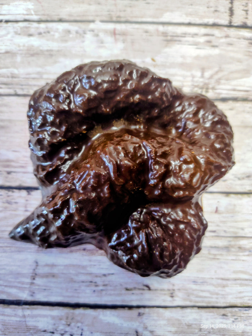 Dog Poop Wax Melt