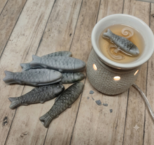 Load image into Gallery viewer, Fishy wax Melts
