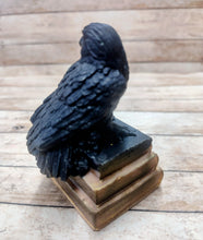 Load image into Gallery viewer, Crow &amp; Break Me Bar Wax Melts

